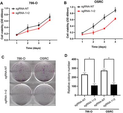 Targeted Methylation of the LncRNA NEAT1 Suppresses Malignancy of Renal Cell Carcinoma